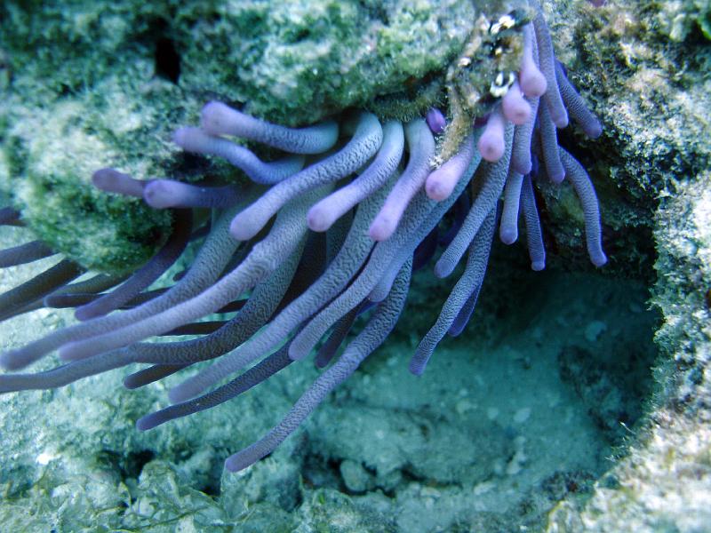 2010-11-24 19-44-13 Mary.jpg